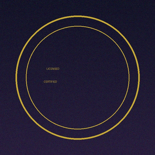 九se影视制作经营许可证徽章